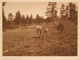 The Root Digger - Yakima: 