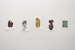 Transformation Project: 1 Purple & Green 2. Entrapped 3 Yellow Passing 4. Formed 5. Transformed