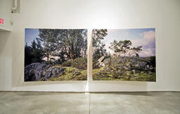 Installation view