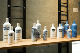 27 Absolut Bottles