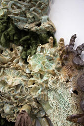 Between an Ecology and the Object