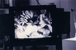 Video screen, circa 1992-1994.