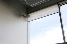 Series of Hidden in Plain Site Installations 12/14
