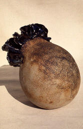 [Work by Marilyn Bercovich]