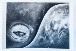 Bowhead