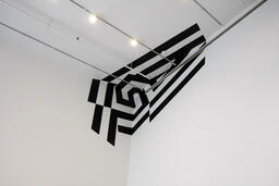 Dazzle Study #8