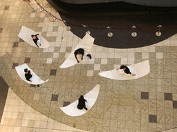 Welcome Project: Aberdeen Mall performance