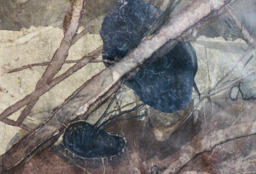 Untitled Mental Specimen detail
