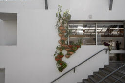 Growing Agricultural Architecture