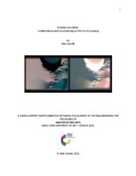 OCEANIC ALCHEMY: Collaborations and Surrenderings in Film Eco-Processing