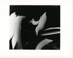 Work by Michael Guindon, "Untitled", grad show 1993.