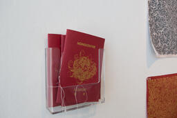 Double Perspective: A Glimpse of HongCouver
