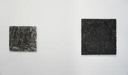 Rocks and charcoal