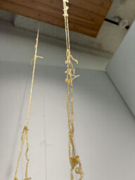 detail of gelatin rope