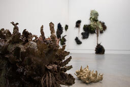 Between an Ecology and the Object