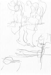 Sensory Drawing, Balsam Poplar, Peel River