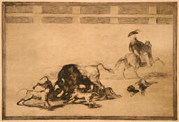 From the series Tauromaquia; No. 25 "Echan perros al Toro" - 'The loose dogs on the bull': 