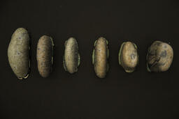 Nomad stones