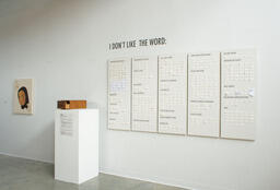 Installation view