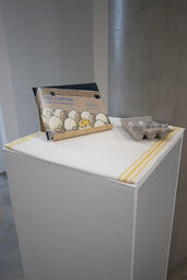 Egg Carton: interviews in subculture