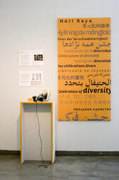 Installation view