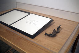 Installation detail of vitrine