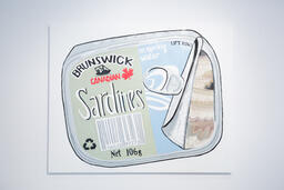 Brunswick Sardines in Spring Water