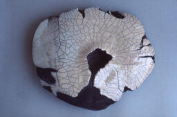 [Work by Jose Cawsey]