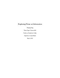 Exploring Noise as Information
