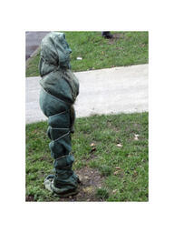 Wrapped tree