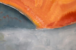 Thesis Show: Close-up 2