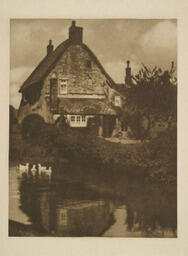 The Duck Pond: 