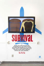 Flight Survival