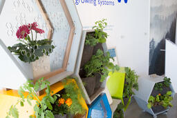 Surculus Growing Systems
