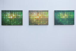 Reflections (W2) / Reflections (W1) / Reflections (W3)