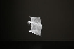 A Room for Projection and Reflection