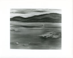 Grad show 1993.