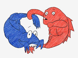 Red and Blue