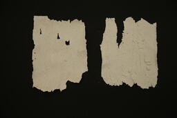 clay pages