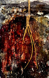The Invasion of Adak, detail