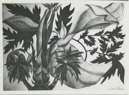 Floral drawing by Peggy Shannon, circa 1947.