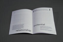 Sketches for Perspective: A Toolkit for Non-Profit Organization