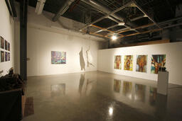 Installation view
