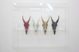 Untitled #4 (concerning land politics and cultural paradigms)