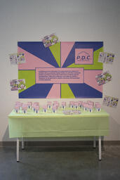 P.D.C. (Project Dream Catcher)