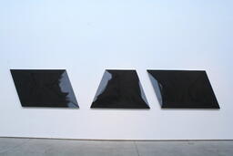 Untitled (black Oak)