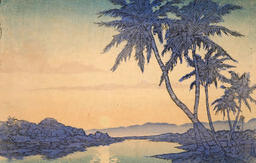 Coconut palms
