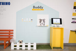 Buddy