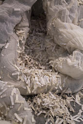 Corpus; detail