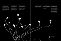 Rapid Change, Rethinking Consumption